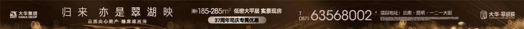 大华翠湖映